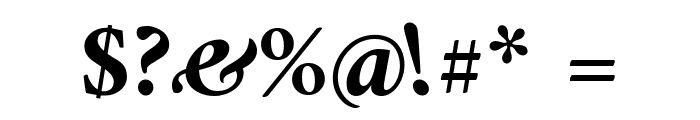 Amiri Bold Italic Font OTHER CHARS