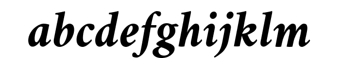 Amiri Bold Italic Font LOWERCASE