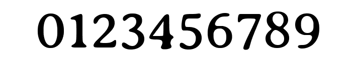 Averia Serif Libre Regular Font OTHER CHARS