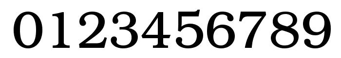 BOOKmanOpti-Light Font OTHER CHARS