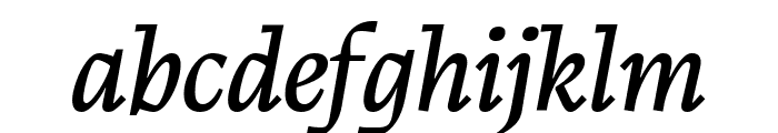 CalvinoTrial Italic Font LOWERCASE