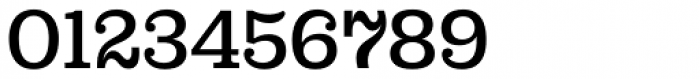 Capital Serif Medium Font OTHER CHARS
