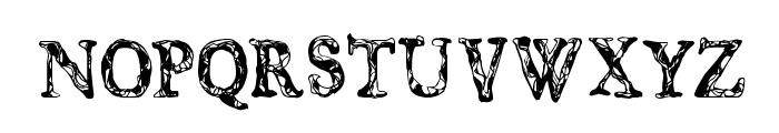 CF JUNGLE Regular Font UPPERCASE