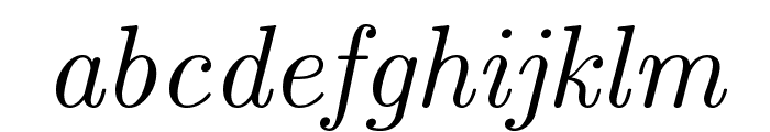 CMU Serif Italic Font LOWERCASE