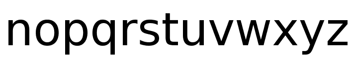 DejaVu Sans Font LOWERCASE