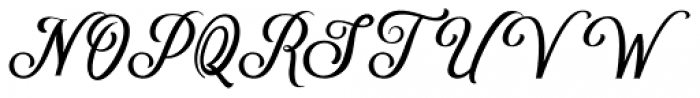 Delighter Script Regular Font UPPERCASE
