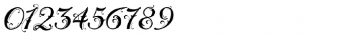 Fleurie Font OTHER CHARS