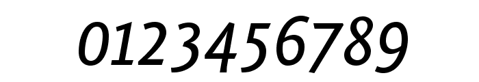 Fontin Sans Italic Font OTHER CHARS