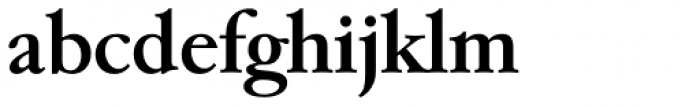 Garamond TS Medium Font LOWERCASE