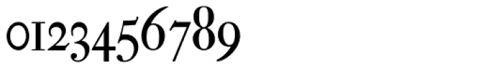 Leibniz Fraktur Pro Font OTHER CHARS