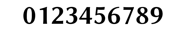 Linux Biolinum Bold Font OTHER CHARS