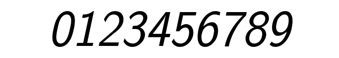 LMSans17-Oblique Font OTHER CHARS