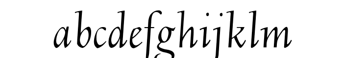 OPTIDeligne-Italic Font LOWERCASE