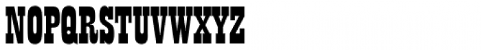 Playbill Pro Regular Font UPPERCASE