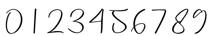 Precious Soul Font OTHER CHARS