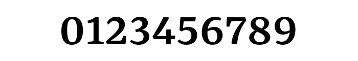 Rasa Medium Font OTHER CHARS