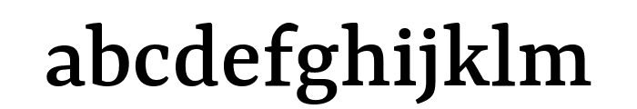 Rasa Medium Font LOWERCASE