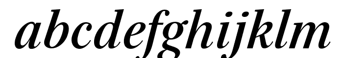 Serif-BoldItalic Font LOWERCASE