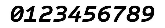 Sometype Mono Bold Italic Font OTHER CHARS