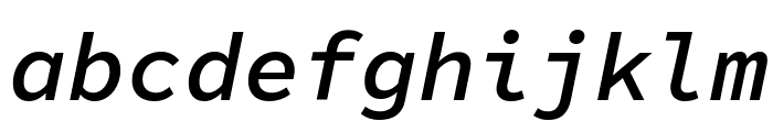 Source Code Pro Semibold Italic Font LOWERCASE