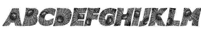 SPIDERWEB ITALIC PERSONAL USE Bold Italic Font UPPERCASE