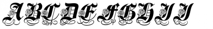 Spanish Rose Font UPPERCASE