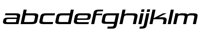 VipnagorgiallaRg-Italic Font LOWERCASE