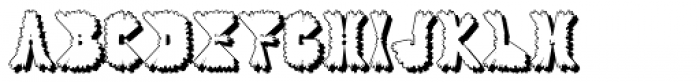 Your Image