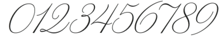 WT Hilton Script Thin otf (100) Font OTHER CHARS