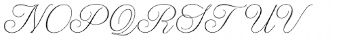WT Hilton Script Thin Font UPPERCASE