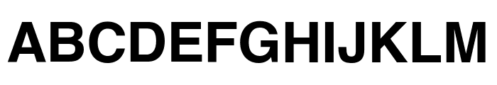 XB Shafigh Kurd Bold Font UPPERCASE